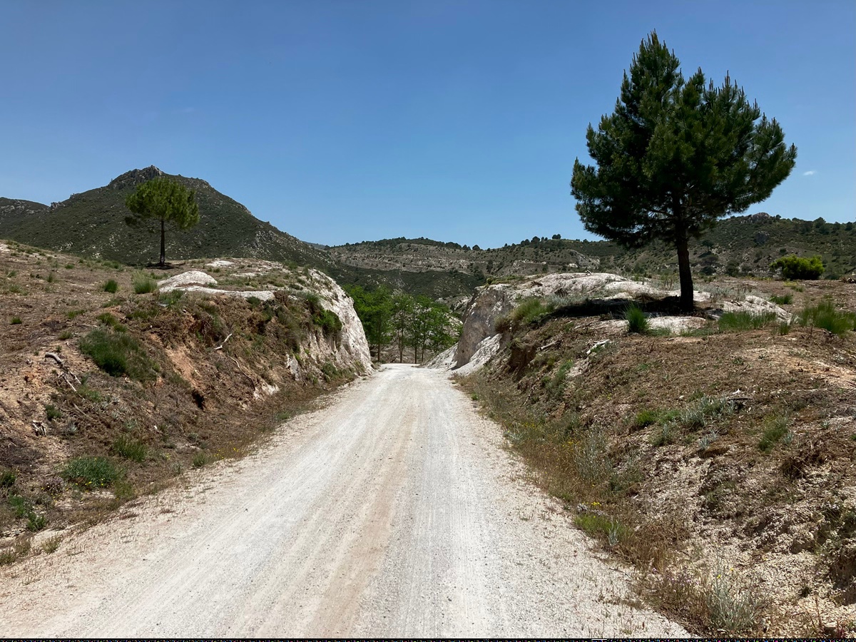 Moving Away from Mass Tourism. Photo Uff Road Copyright 2024