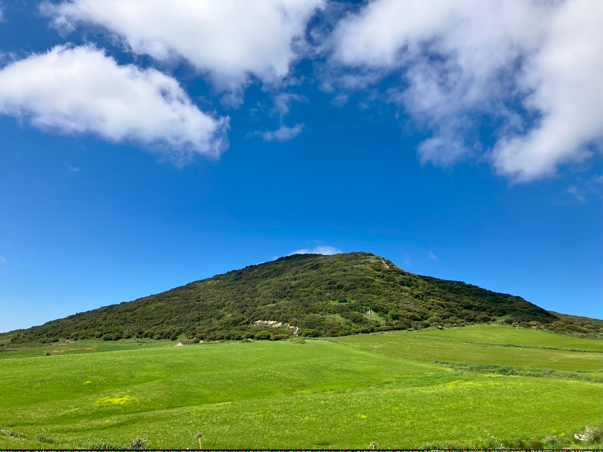 Andalusian Green Landscapes Villanueva de la Concepción Photo Copyright 2025 Uff Road