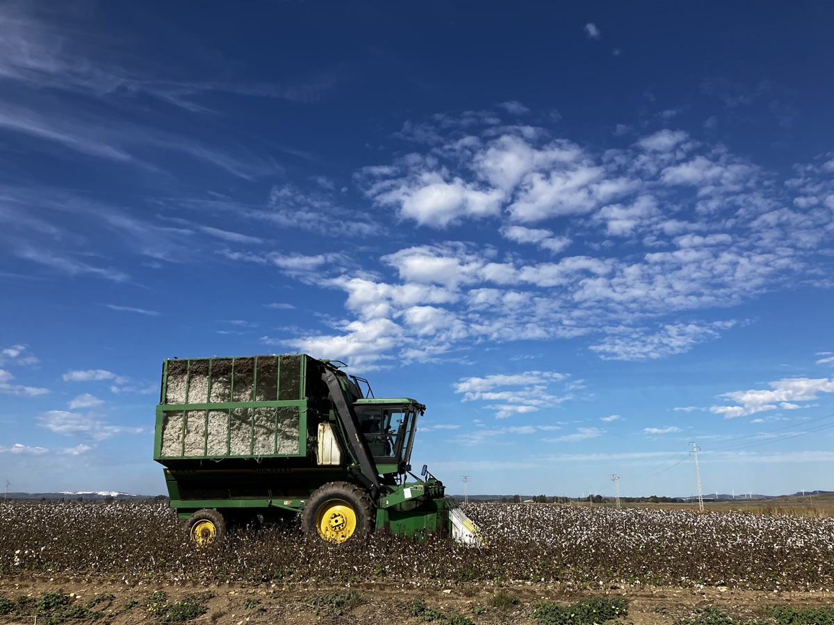 Cotton Fields Scenes From the Andalusian Farmlands Photo copyright Uff Road 2024