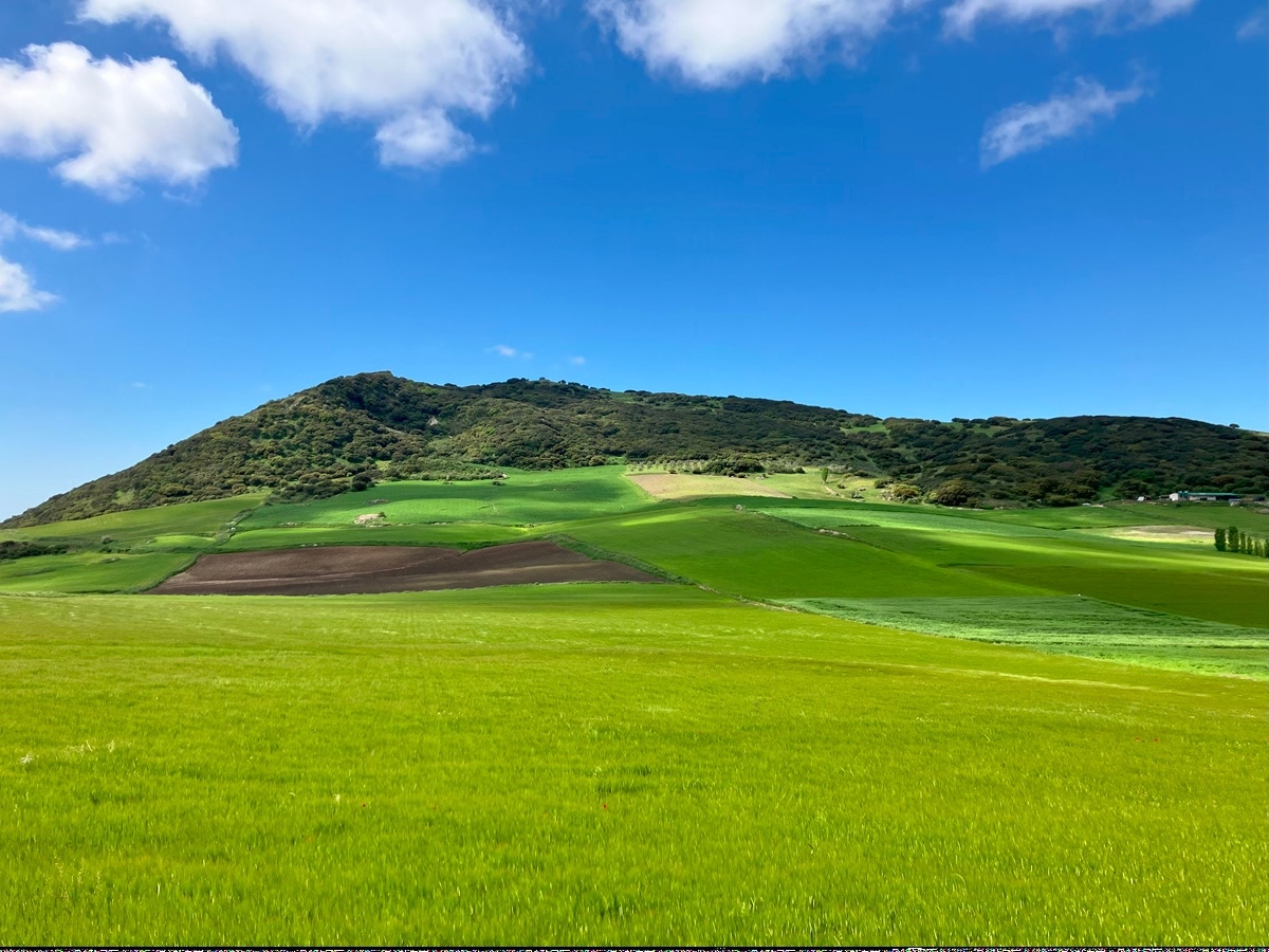 Andalusian Green Farmlands. Photo Copyright 2025 Uff Road