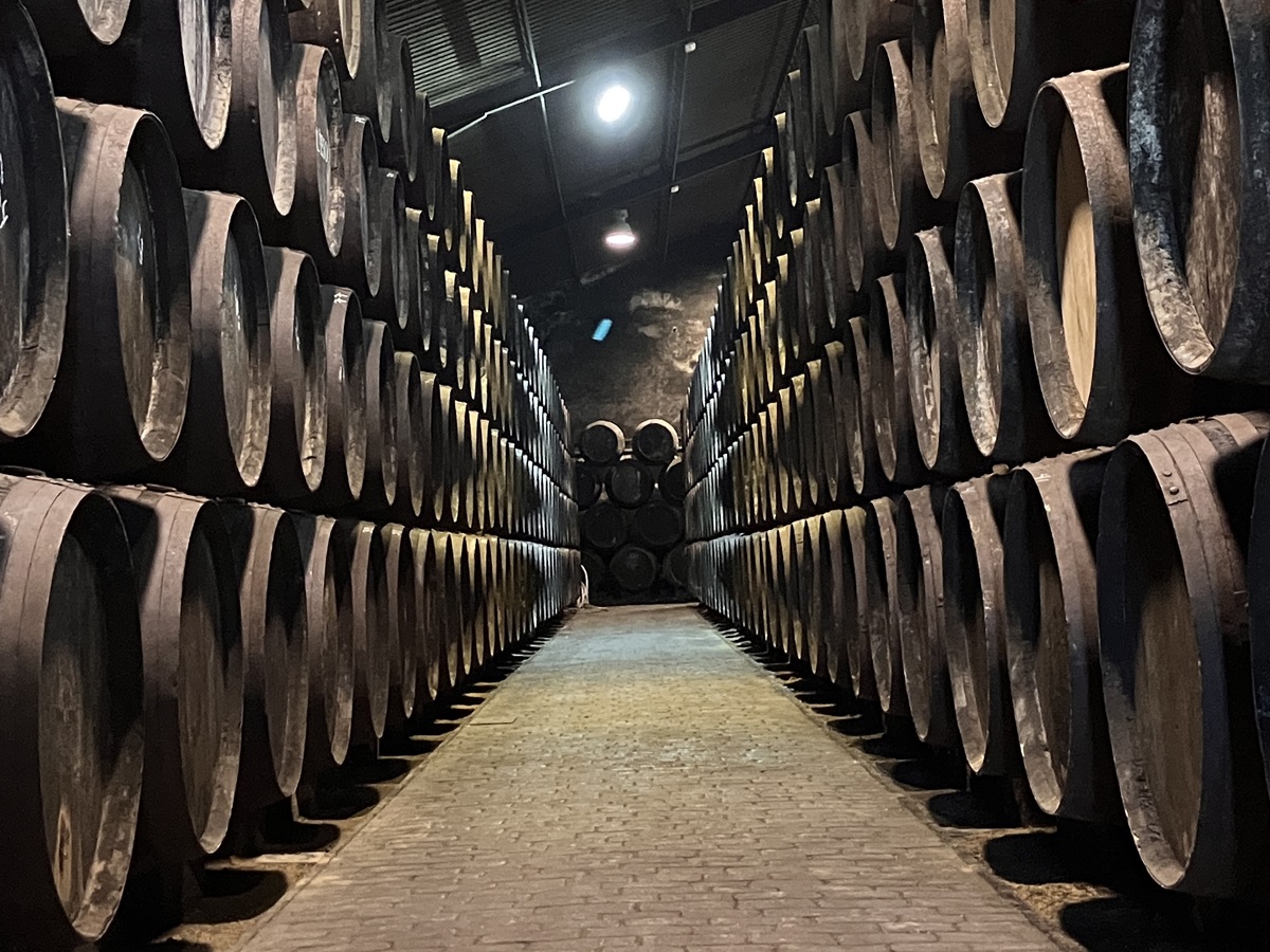 Rows of wine barrels ageing in an Andalusian bodega cellar